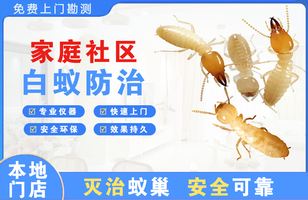 台州家庭社区白蚁防治