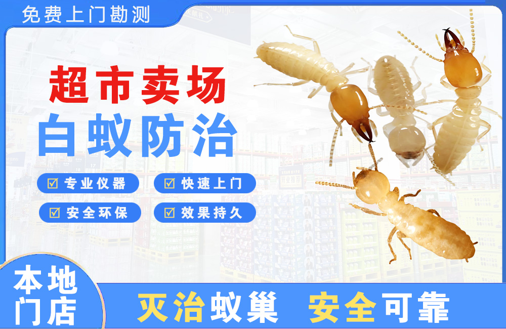 台州超市卖场白蚁防治