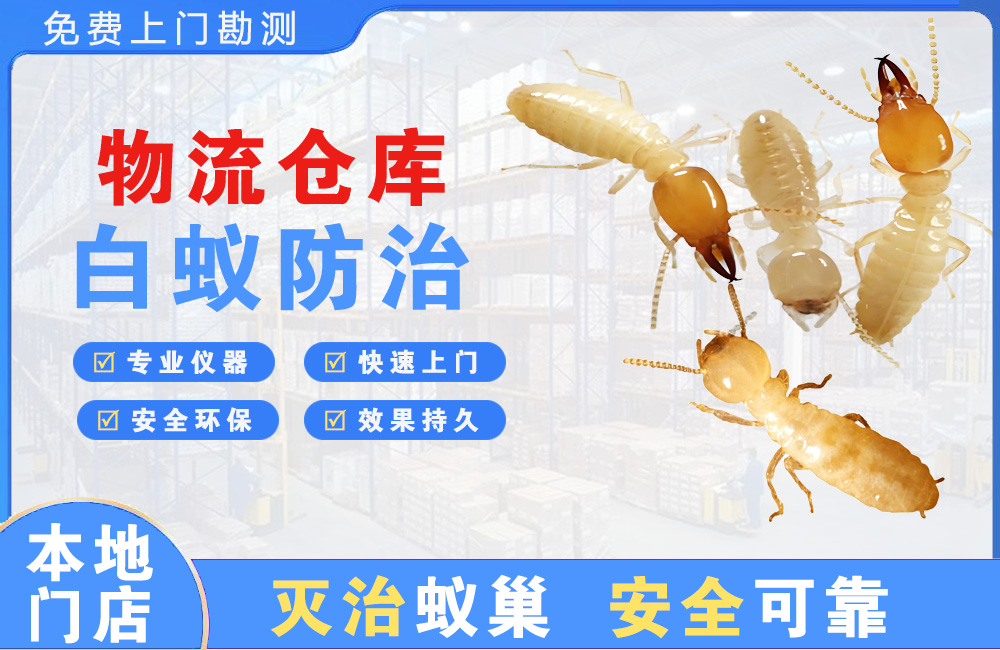台州物流仓库白蚁防治