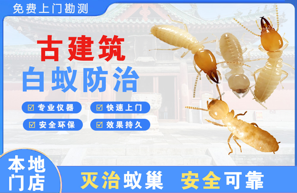 台州古建筑白蚁防治