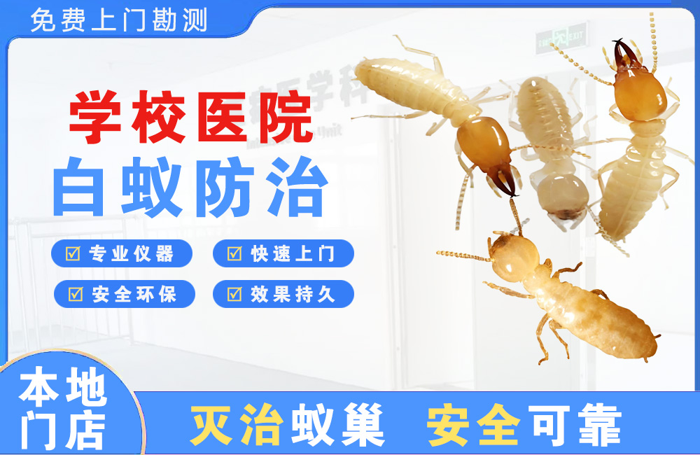 台州学校医院白蚁防治
