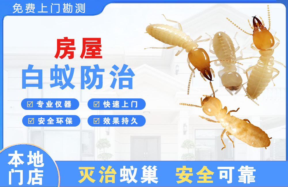 台州房屋白蚁防治