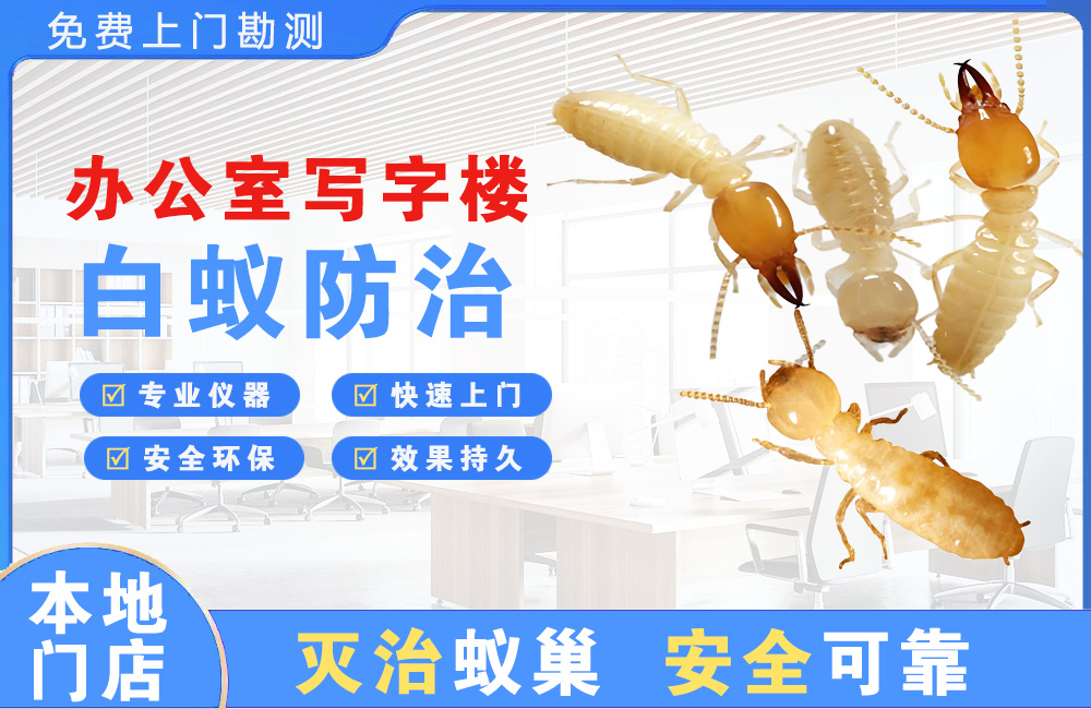 台州办公室写字楼白蚁防治